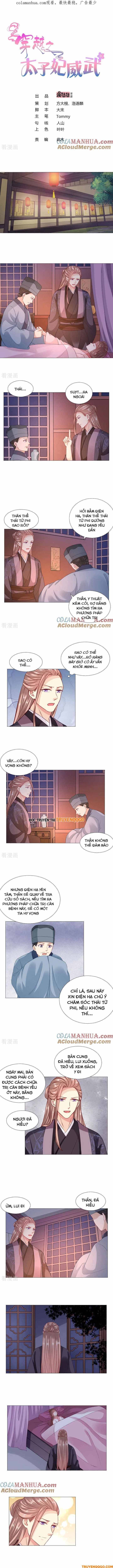 Xuyên Không Trở Thành Thái Tử Phi Uy Vũ: Chapter 66