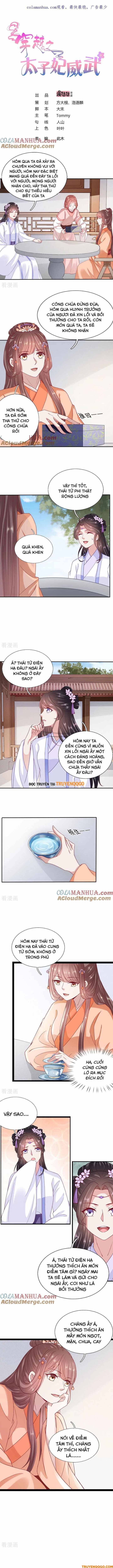 Xuyên Không Trở Thành Thái Tử Phi Uy Vũ: Chapter 74