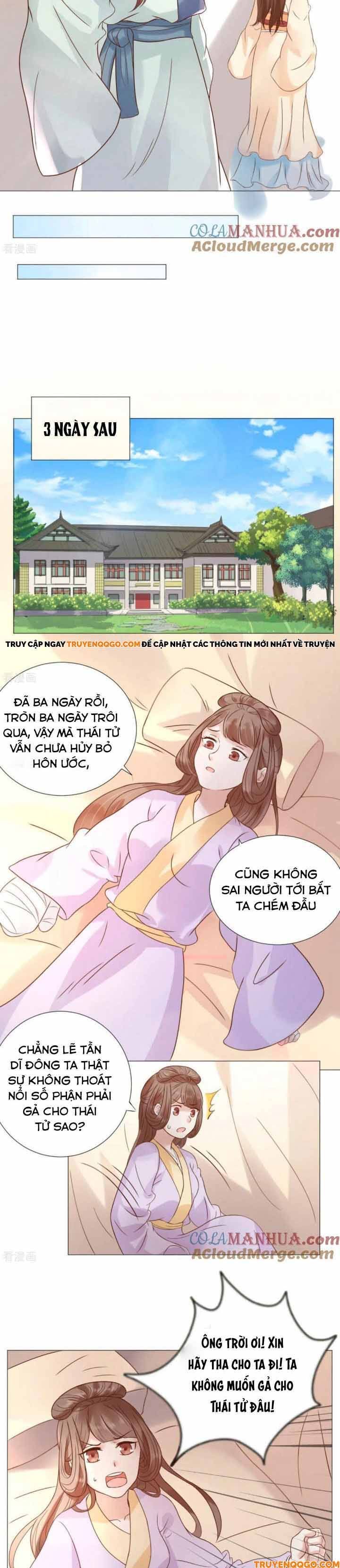 Xuyên Không Trở Thành Thái Tử Phi Uy Vũ: Chapter 8