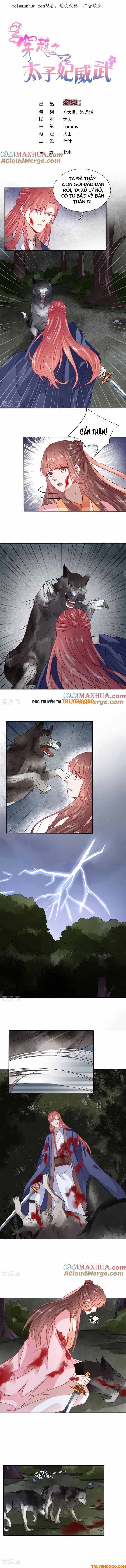 Xuyên Không Trở Thành Thái Tử Phi Uy Vũ: Chapter 86