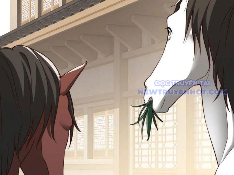 Xuyên Qua Thành Npc Xui Xẻo: Ta Có Lão Bà Che Chở: Chapter 105