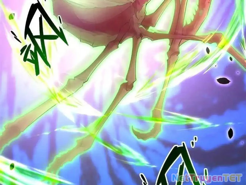 Xuyên Qua Thành Npc Xui Xẻo: Ta Có Lão Bà Che Chở: Chapter 107