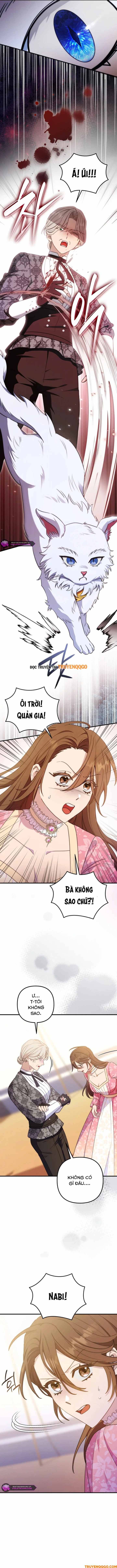 Your Majesty, Please Stop Now: Chapter 28