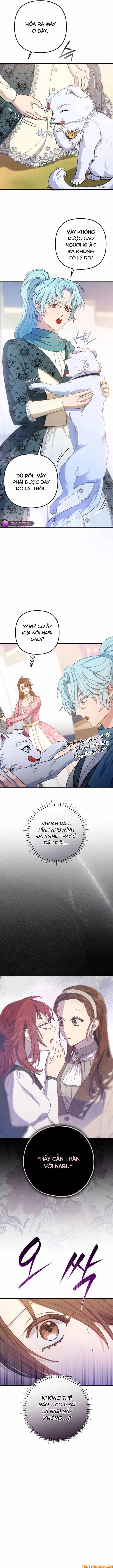 Your Majesty, Please Stop Now: Chapter 28