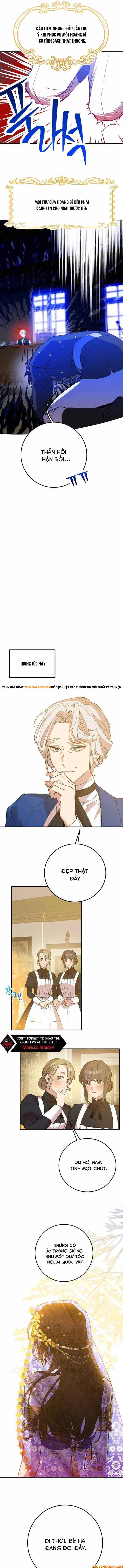 Your Majesty, Please Stop Now: Chapter 5