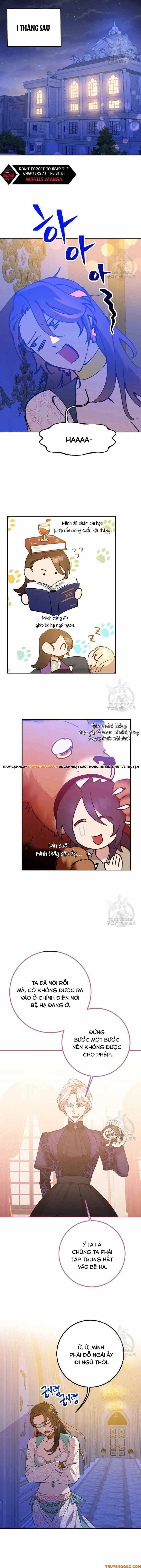 Your Majesty, Please Stop Now: Chapter 6